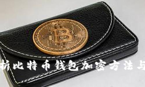 全面解析比特币钱包加密方法与安全性