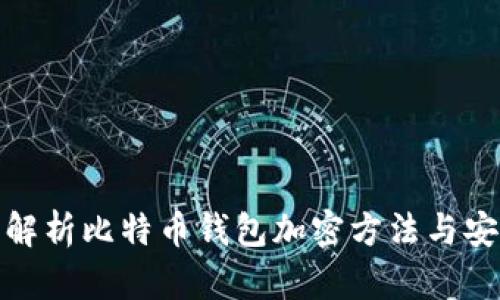 全面解析比特币钱包加密方法与安全性