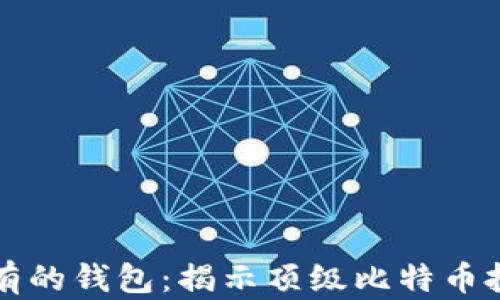 
比特币最富有的钱包：揭示顶级比特币投资者的秘密