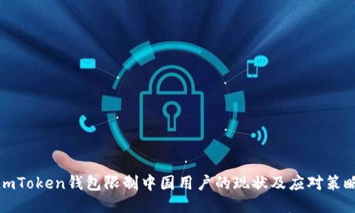 imToken钱包限制中国用户的现状及应对策略