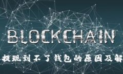 比特币提现到不了钱包的