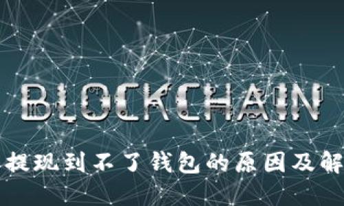 比特币提现到不了钱包的原因及解决方法
