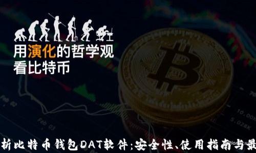 
全面解析比特币钱包DAT软件：安全性、使用指南与最佳实践