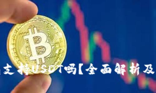 极客钱包支持USDT吗？全面解析及使用指南