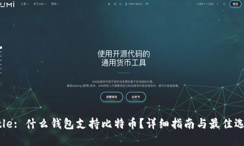 Title: 什么钱包支持比特币？详细指南与最佳选择