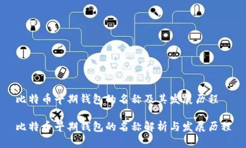 比特币早期钱包的名称及其发展历程

比特币早期钱包的名称解析与发展历程