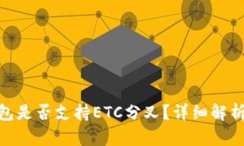 imToken钱包是否支持ETC分叉？详细解析与未来发展