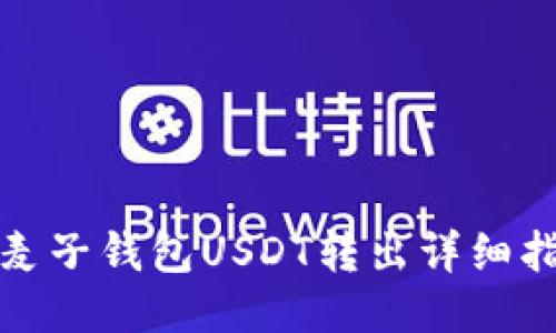 : 麦子钱包USDT转出详细指南