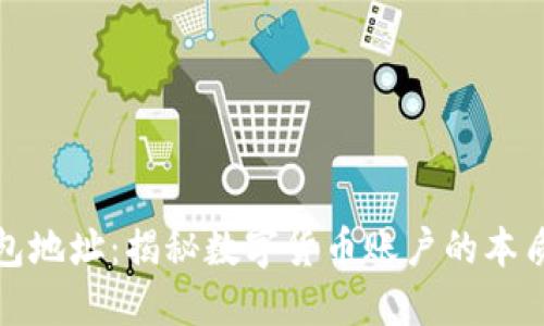 比特币钱包地址：揭秘数字货币账户的本质与安全性