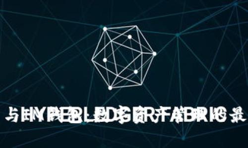 TP钱包与IM钱包：数字资产管理的最佳选择