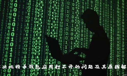 解决比特币钱包应用打不开的问题及其原因解析