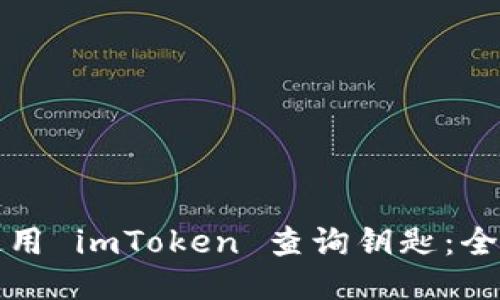 如何使用 imToken 查询钥匙：全面指南