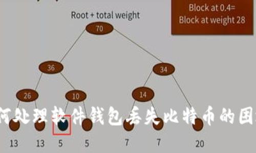 如何处理软件钱包丢失比特币的困境？