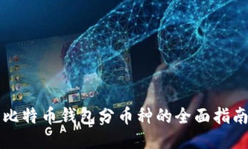 比特币钱包分币种的全面指南
