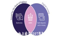 如何在苹果手机上安装U