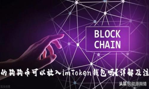 挖出来的狗狗币可以放入imToken钱包吗？详解及注意事项