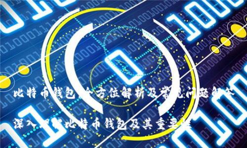 比特币钱包：全方位解析及常见问题解答

深入理解比特币钱包及其重要性