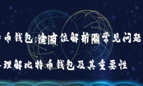 比特币钱包：全方位解析及常见问题解答

深入理解比特币钱包及其重要性